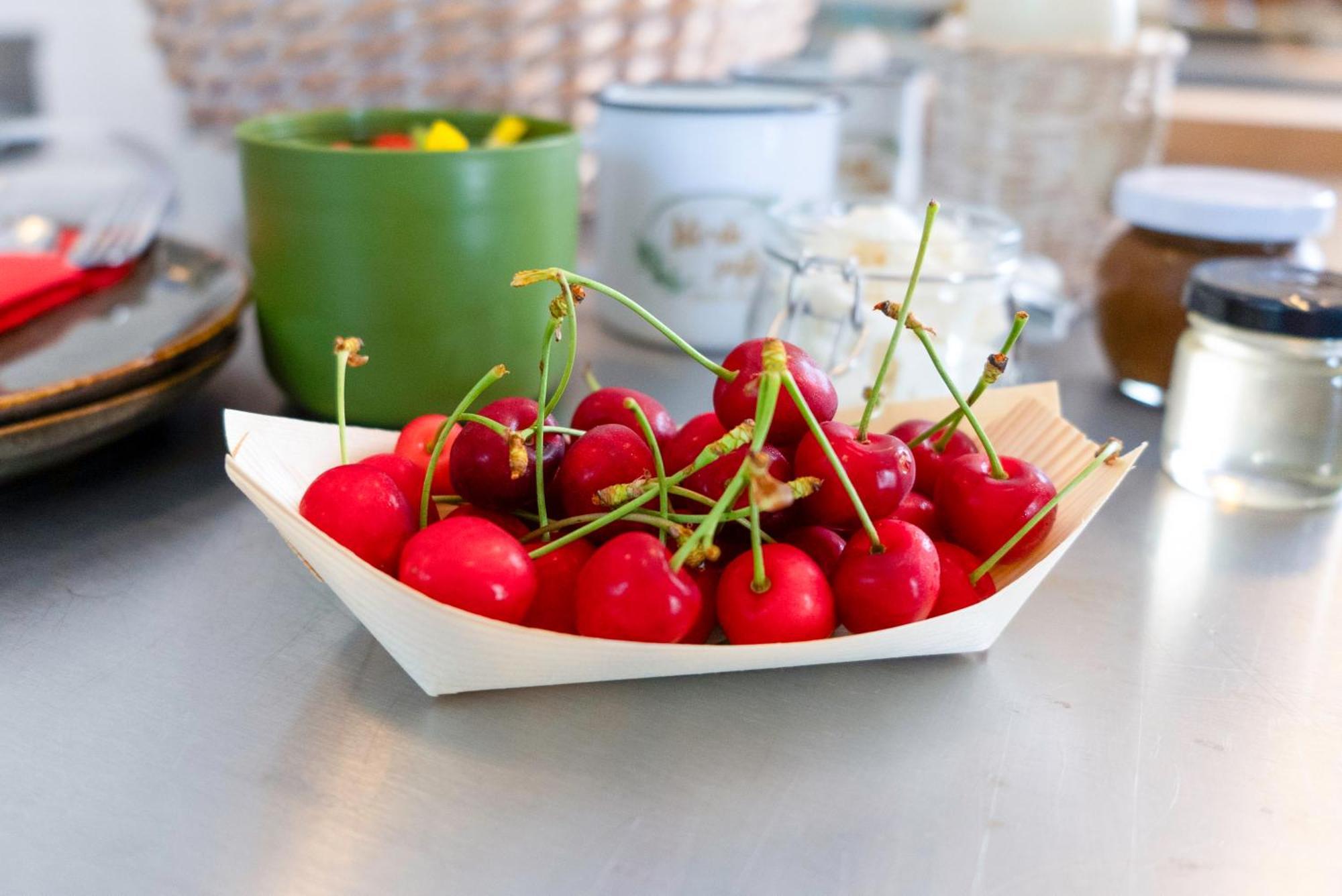 Guesthouse Green Istria Truske ภายนอก รูปภาพ