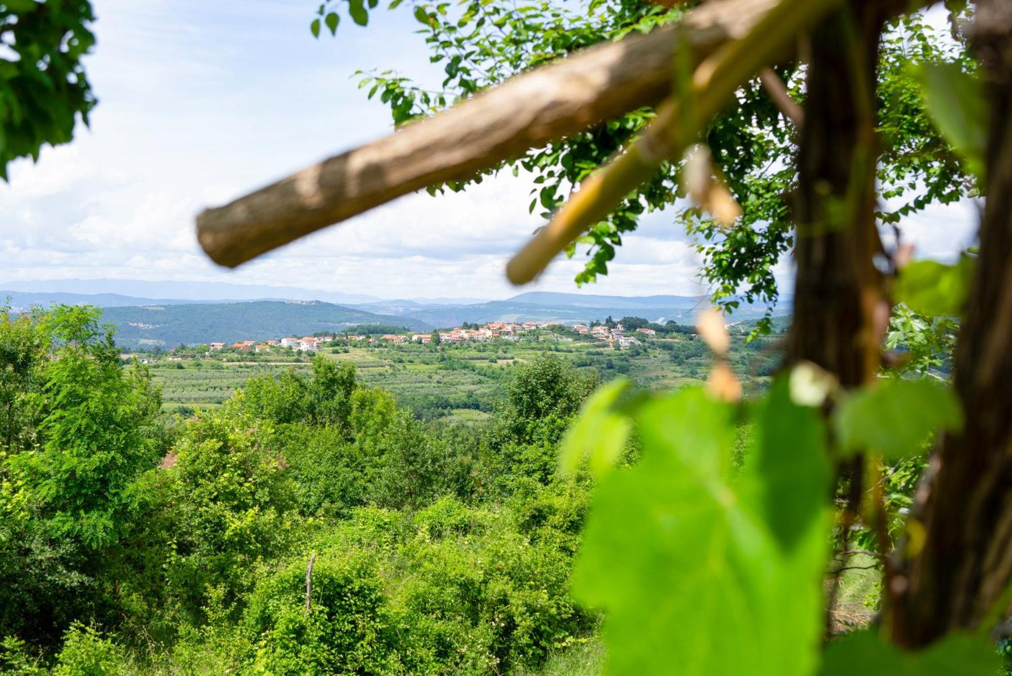 Guesthouse Green Istria Truske ภายนอก รูปภาพ