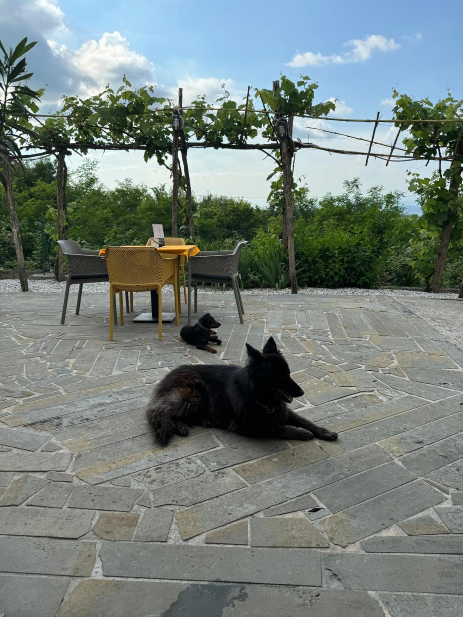 Guesthouse Green Istria Truske ภายนอก รูปภาพ