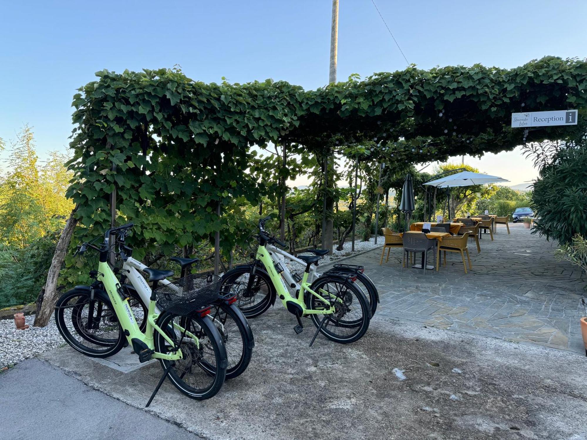 Guesthouse Green Istria Truske ภายนอก รูปภาพ